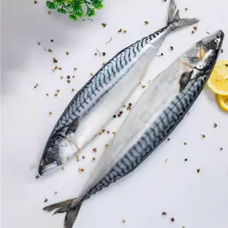 【一手鮮貨】無鹽整尾挪威鯖魚(4尾組/單尾500g~550g/鯖魚)