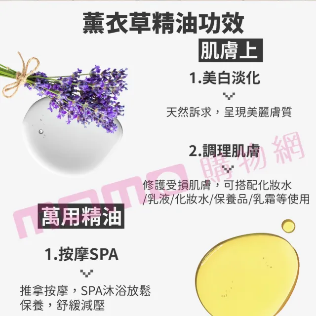 【Ausgarden 澳維花園】醒目薰衣草精油100ml(眾多消費者喜愛品種 居家常備精油之一)