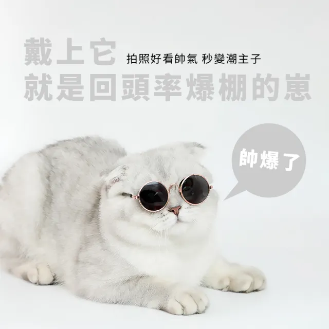 貓狗藝術眼鏡(寵物太陽眼鏡 貓咪狗狗拍照眼鏡 寵物攝影用品 寵物變裝 寵物玩具)