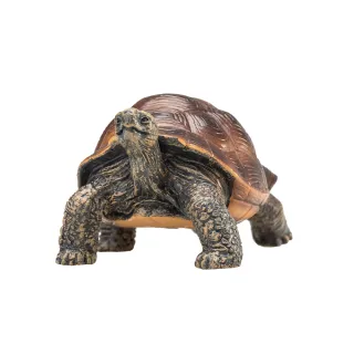 【Mojo Fun】動物模型-巨陸龜(公仔/動物/模型/玩具)