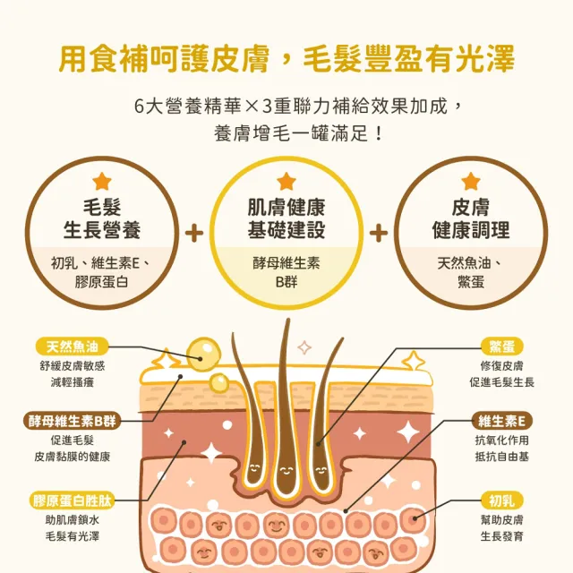 【汪喵星球】亮毛護膚鱉蛋粉60gx2入組(犬貓保健)