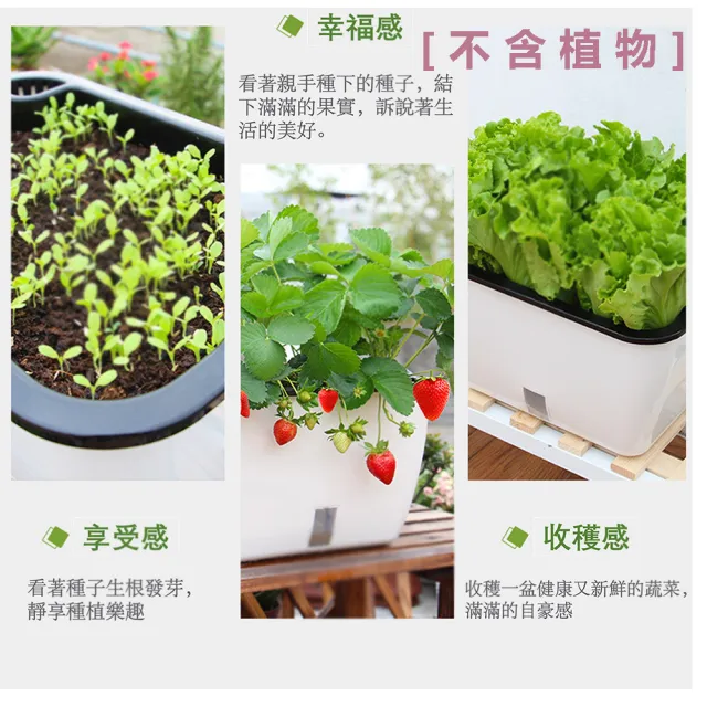 【品屋】蔬菜種植箱(長方形懶人種菜盆 長型花盆 種菜盆 花盆 自吸水花盆)
