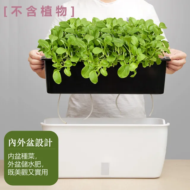 【品屋】蔬菜種植箱(長方形懶人種菜盆 長型花盆 種菜盆 花盆 自吸水花盆)