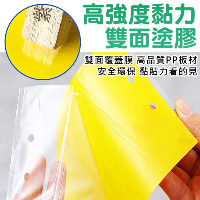 【拼創生活】雙面超黏捕蠅紙-黃色20入(捕蠅紙 黏蠅紙 誘蠅紙 黏果蠅 黏蒼蠅 捕蠅板 捕蠅器 黏蟲板)
