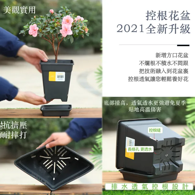 【品屋】方型F230樹脂加侖盆+底托(控根盆 加侖盆 方形花盆 帶盆托)