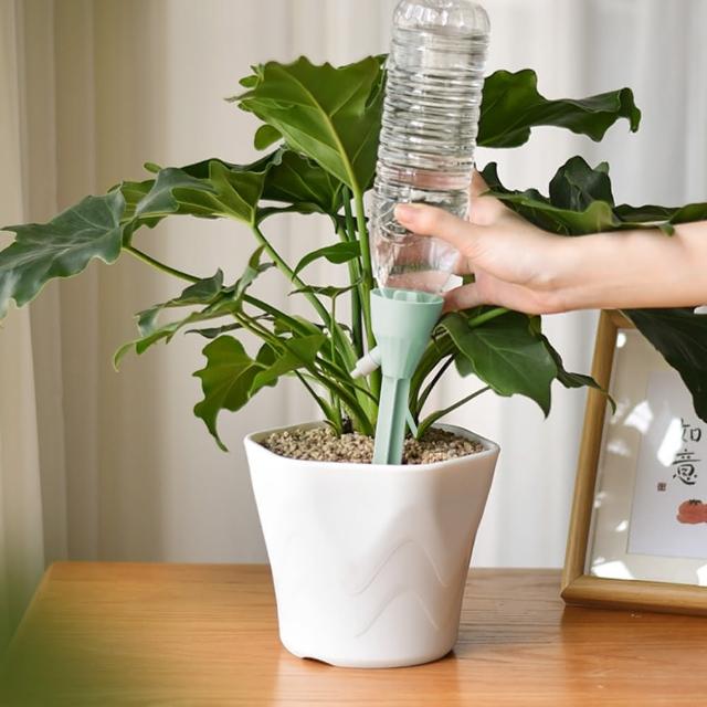【E.dot】3入組 盆栽自動澆花器(澆水器)