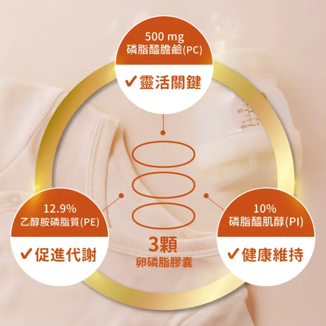 【NOW Foods】卵磷脂膠囊1瓶(100顆)