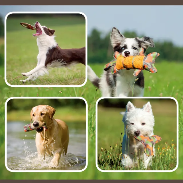 【Major Dog】貓中瓶 狗玩具 浮水玩具 互動玩具(抗憂鬱玩具 寵物玩具 無毒玩具 耐咬玩具)