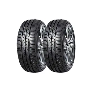 【FALKEN 飛隼】輪胎飛隼ZE310-2255017吋 98W_二入組_225/50/17(車麗屋)