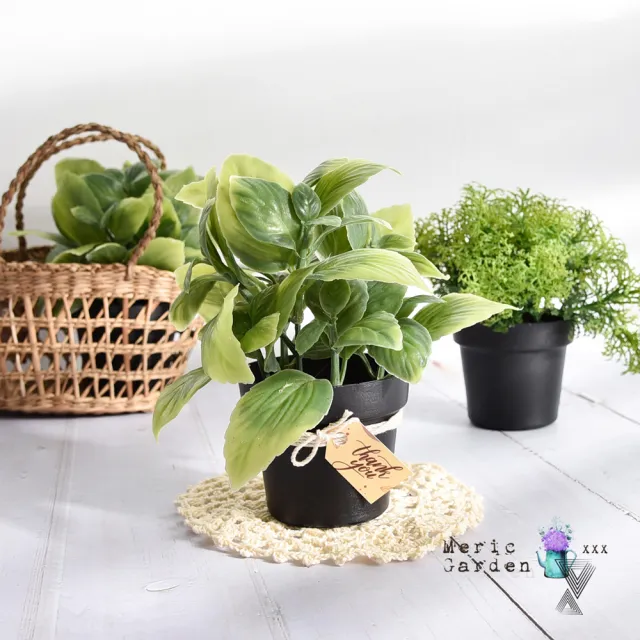 【Meric Garden】創意北歐仿真療癒小綠植盆栽/桌面裝飾擺設_2款一組(假綠植物 療癒小物 假花盆栽)