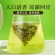 【坂尾家】黃金油切綠茶(50入/包 清甜茶香不苦澀)