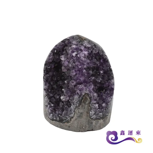 【鑫運來】招財烏拉圭紫晶鎮100-300g