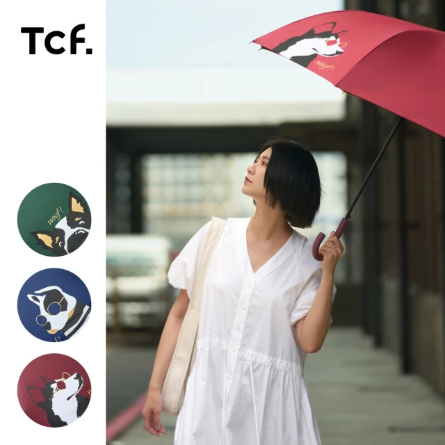 雨傘拐杖