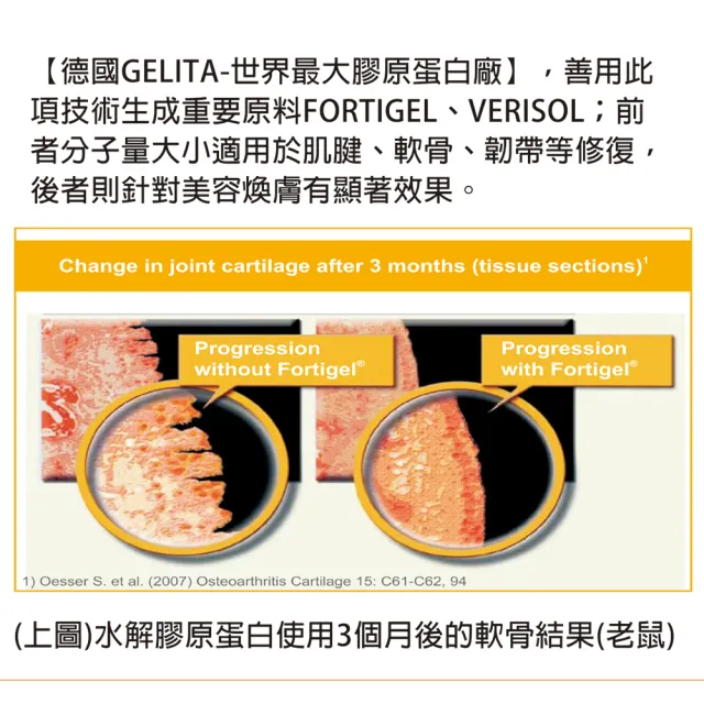 【金奇兒-活力補膠】頂級膠原蛋白胜肽德國專利成分 有感治本(軟骨增生修復 緩減關節軟骨磨損 退化性關節炎)