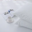 【GOODin】床包式防水保潔墊 輕透零感系列(枕用2入 53*75cm)