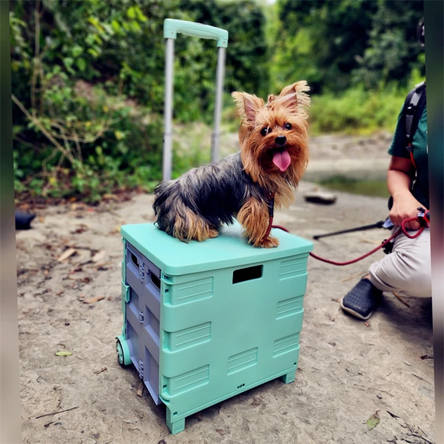 AOTTO 150L升級加厚款折疊收納推車購物車(平板車 手
