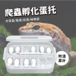 【寵物用品】爬蟲孵化蛋托16x11x5cm(16格蛋位盒 孵化蛋器 孵蛋盒 變色龍 烏龜 守宮 寵物用品)