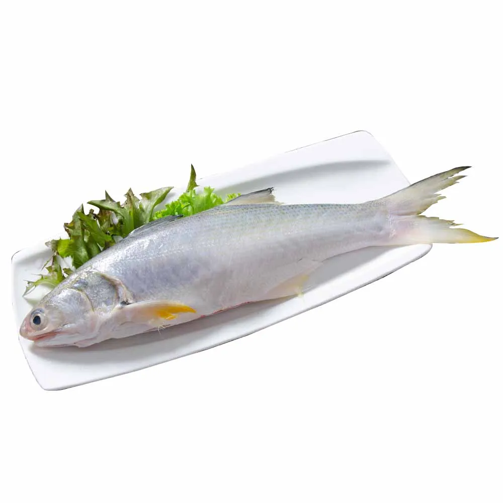 【鮮綠生活】台灣三去海水午仔魚(250-300g/尾 共7包)