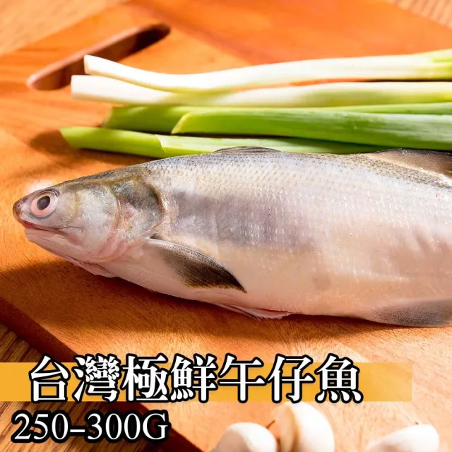 【鮮綠生活】台灣三去海水午仔魚(250-300g/尾 共7包)