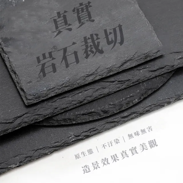 【寵物用品】爬蟲磨甲石板10x10cm(保暖保溫墊 保濕 造景 食盆 陸龜 烏龜台 蜥蜴 守宮 蠍子 魚缸 水族底材)