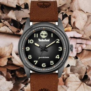 【Timberland】天柏嵐 NORTHBRIDGE系列 經典型男腕錶 皮革錶帶-煙燻灰45mm(TDWGA2152103)