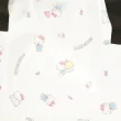 【SANRIO 三麗鷗】半透明可折疊拉鍊收納提袋 收納提箱 L Hello Kitty(文具雜貨)