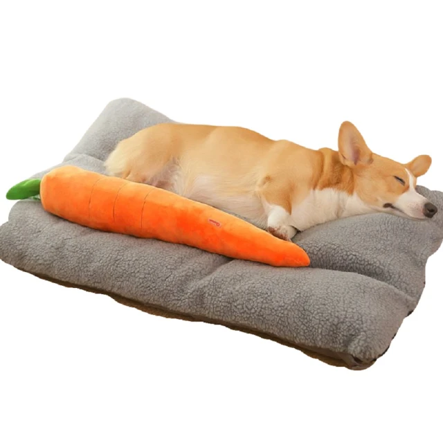 【PETA】75 cm巨大化胡蘿蔔 寵物發聲玩具 解壓互動磨牙潔齒 啾啾玩具 陪伴 貓狗(特大號紅蘿蔔)