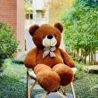 【歐比邁】大熊熊玩偶 160CM 台灣填充棉花(60吋孔雀絨熊 0100013)