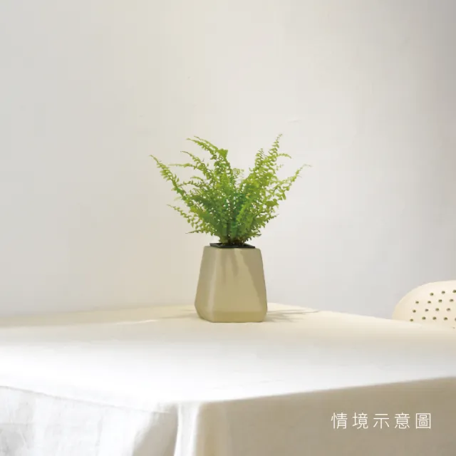 【森多】多葉蘭－方盆系列｜弦月椒草 水耕盆栽 陶瓷盆器