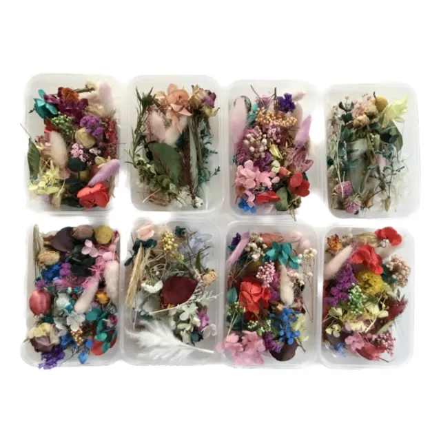 【BJ SHOP】4入組-綜合乾燥花盒 香薰蠟燭 香氛片材料 天然乾燥花 植物果實 永生花(天然乾燥花  永生花)