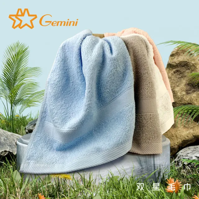 【Gemini 雙星】官方直營 素色菱格緞檔抗菌系列(毛巾超值二入組)