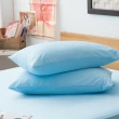 【LAMINA】高科技膜枕用防蹣防水保潔墊(2入)