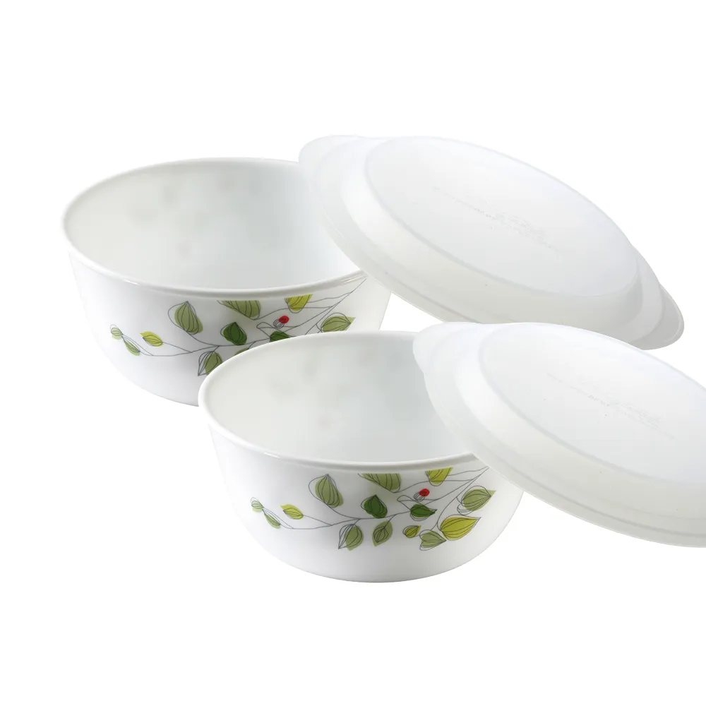 【美國康寧 CORELLE】綠野微風4件式麵碗組(403)