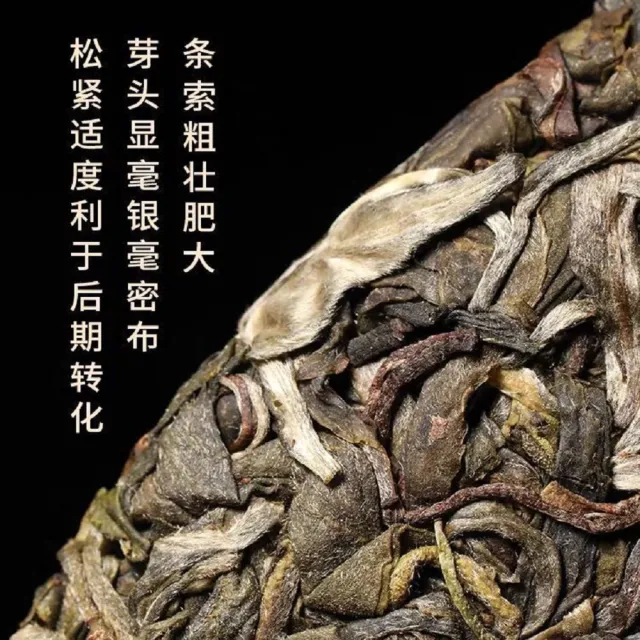 【盛嘉源】易武麻黑 古200 2020(普洱茶   生茶)