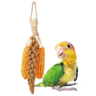 【YOYO 悠悠水族】天然番麥小米穗(鳥用品、鳥玩具、鸚鵡用品、鸚鵡玩具、棲木、站棍、鳥零食)