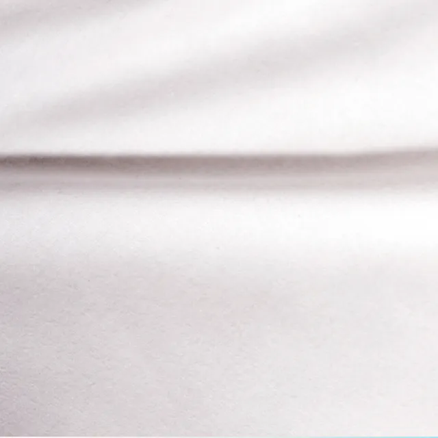 【Embrace英柏絲】五星級飯店指定御用 水鳥羽絨枕 100%純棉表布防絨加工(一入)