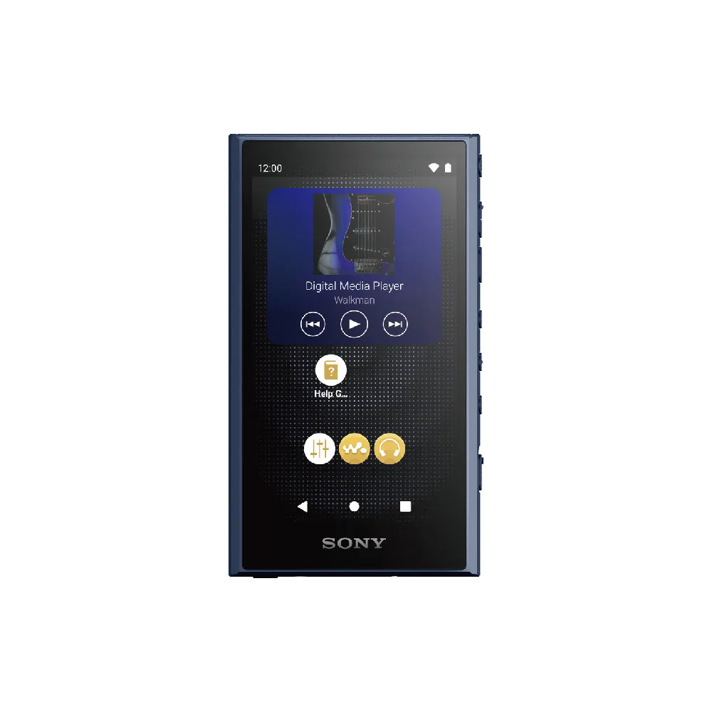 SONY 索尼】高解析音質Walkman 數位隨身聽NW-A306 32G 可攜式音樂播放