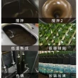 【草本之家】日本進口褐藻糖膠液10入組(500ml/入)