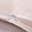 【織眠家族】純淨宣言-大尺寸AA級蜂巢平面天然乳膠枕(2入)