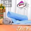 【LooCa】吸濕透氣8-12cm薄床墊布套MIT-拉鍊式(加大6尺-速)