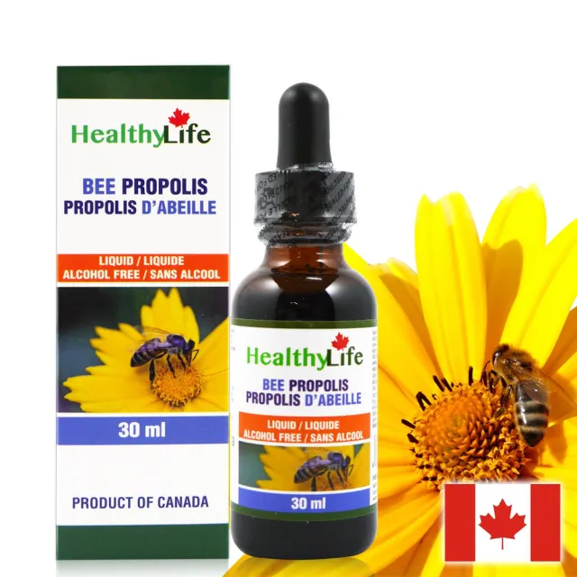 【加拿大Healthy Life】加力活蜂膠滴液Bee Propolis3瓶(30毫升/瓶)