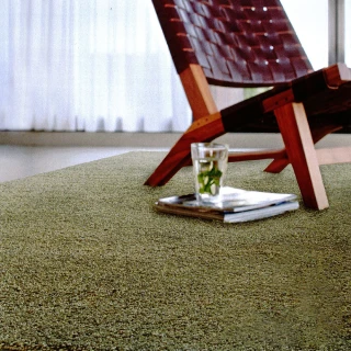 【范登伯格】比利時 璀璨四季長毛地毯(200x290cm/共兩色)