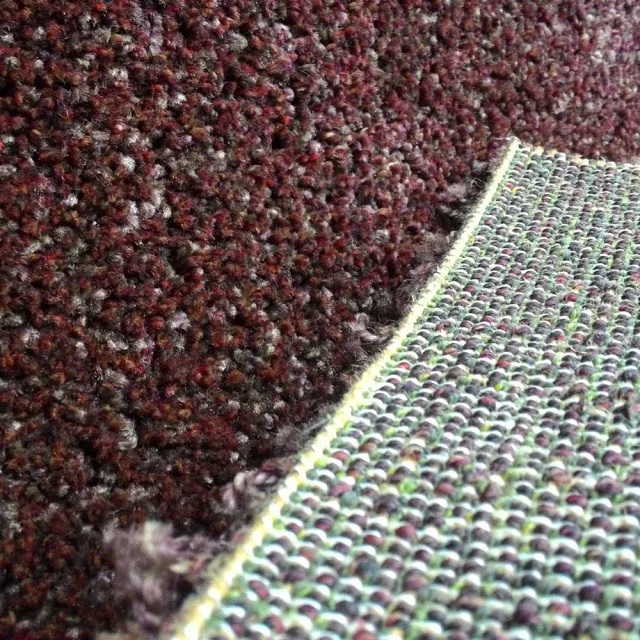 【范登伯格】比利時 璀璨四季長毛地毯(200x290cm/共兩色)