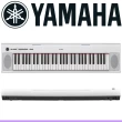 【Yamaha 山葉音樂】標準61鍵可攜式電子琴 / 公司貨(NP-12WH)