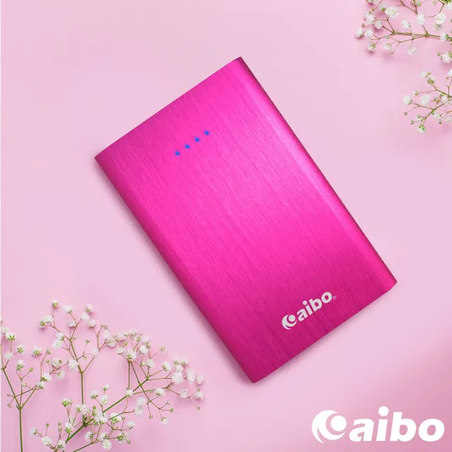 【aibo】12000 Plus 輕薄拉絲行動電源(BSMI認證商品)
