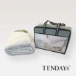 【TENDAYS】備長炭床包型保潔墊(加大單人3.5尺)
