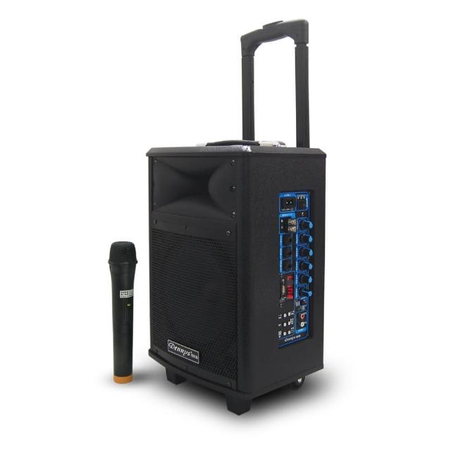 【Dennys】拉桿藍芽多功能擴大音箱(WS-660)