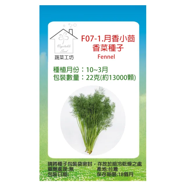 【蔬菜工坊】F07-1.月香小茴香菜種子22克-約13000顆(客家香菜)