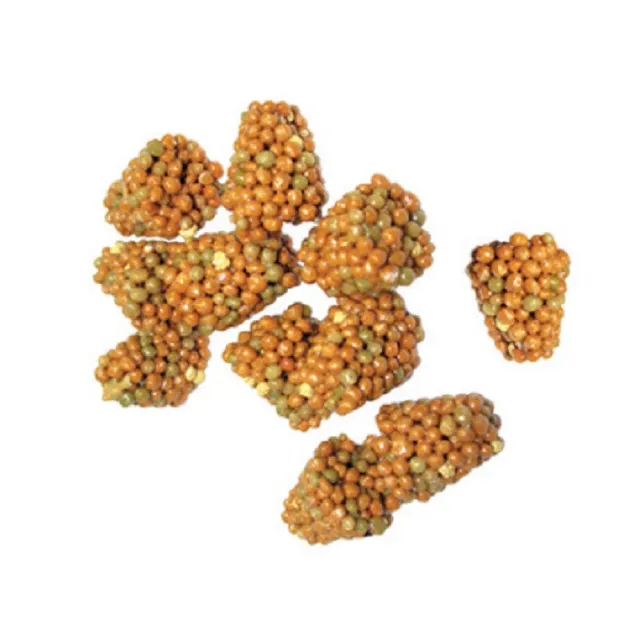 【ISTA】水草根肥(50pcs)