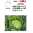 【蔬菜工坊】B08.大高麗菜種子種子